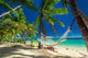 Empty Hammock Shade Palm Wall Decal