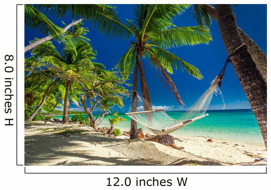 Empty Hammock Shade Palm Wall Decal