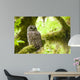Barred Owl Olympic National Wall Decal