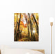 Autumn Scene Wall Mural