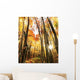 Autumn Scene Wall Mural