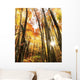 Autumn Scene Wall Mural
