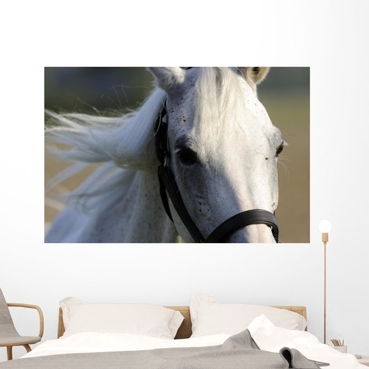 White Arab Halter Wall Decal