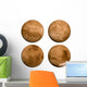 Planet Mars 360 Wall Stickers Wall Decal