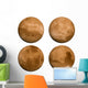 Planet Mars 360 Wall Stickers Wall Decal