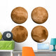 Planet Mars 360 Wall Stickers Wall Decal