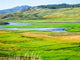 Yellowstone Hayden Valley Wall Decal
