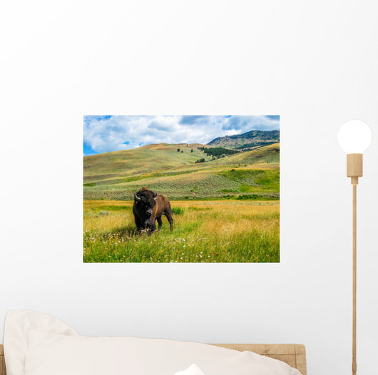 Bison Yellowstone National Park Wall Decal