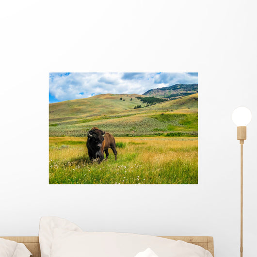 Bison Yellowstone National Park Wall Decal