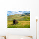 Bison Yellowstone National Park Wall Decal