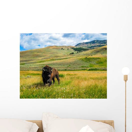 Bison Yellowstone National Park Wall Decal