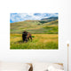 Bison Yellowstone National Park Wall Decal