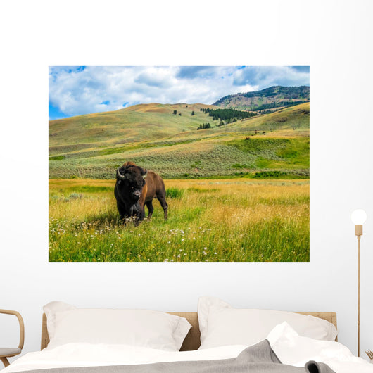 Bison Yellowstone National Park Wall Decal