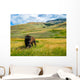 Bison Yellowstone National Park Wall Decal