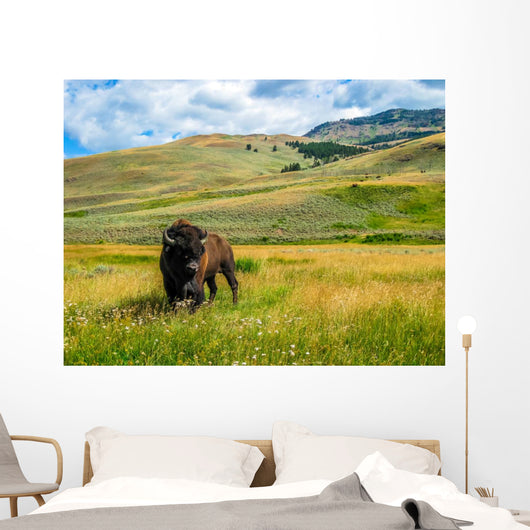Bison Yellowstone National Park Wall Decal