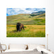 Bison Yellowstone National Park Wall Decal