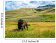 Bison Yellowstone National Park Wall Decal