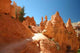 Bryce Canyon Wall Decal