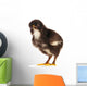 Black Little Chicken Wall Decal