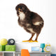 Black Little Chicken Wall Decal