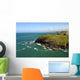 Photography Coast Cornwall Wall Decal