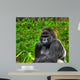 Hdr up Image Male Wall Decal