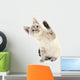 Kitten White Wall Decal