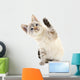 Kitten White Wall Decal