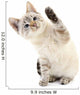 Kitten White Wall Decal
