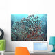 Caribbean coral Wall Mural