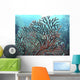 Caribbean coral Wall Mural