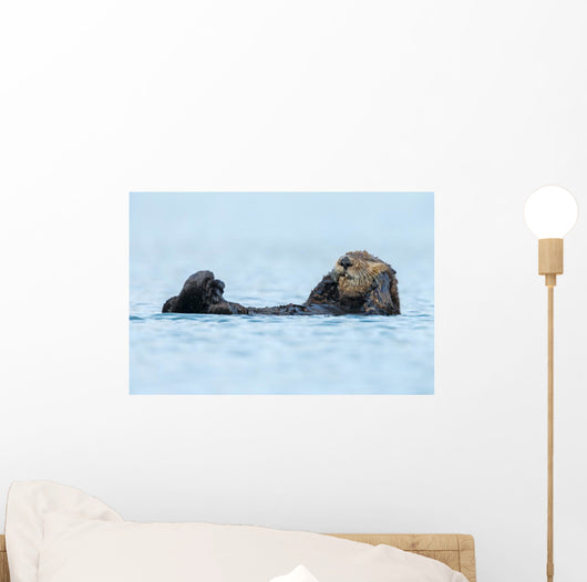 Sea Otter Floating Ocean Wall Decal