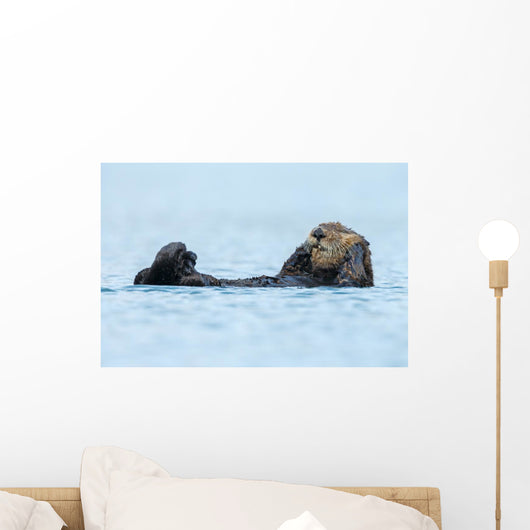 Sea Otter Floating Ocean Wall Decal