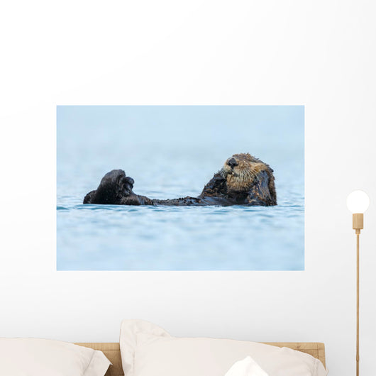 Sea Otter Floating Ocean Wall Decal