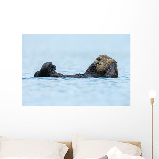 Sea Otter Floating Ocean Wall Decal