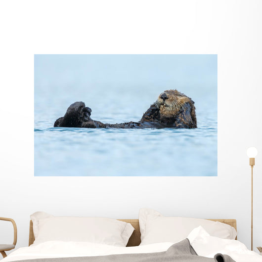 Sea Otter Floating Ocean Wall Decal