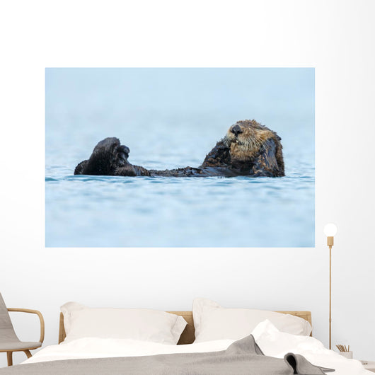Sea Otter Floating Ocean Wall Decal