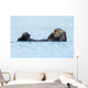 Sea Otter Floating Ocean Wall Decal