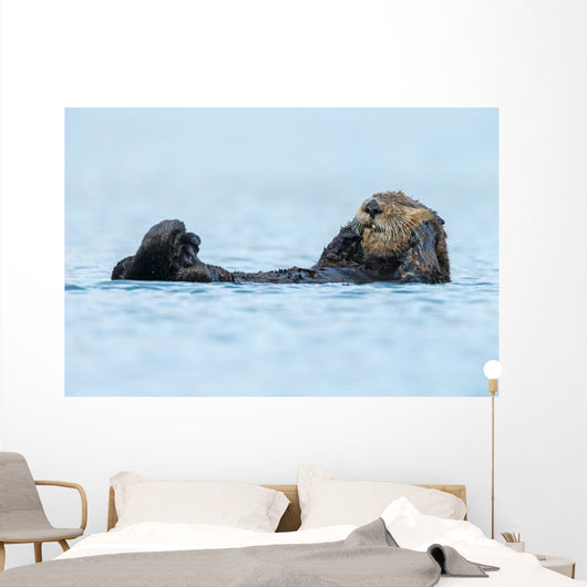 Sea Otter Floating Ocean Wall Decal