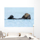 Sea Otter Floating Ocean Wall Decal