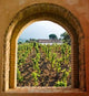 Arched Window Vineyard with Wall Decal