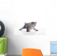 Gatito Con Las Patas Wall Decal