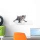 Gatito Con Las Patas Wall Decal
