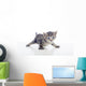 Gatito Con Las Patas Wall Decal