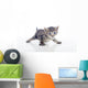 Gatito Con Las Patas Wall Decal