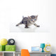 Gatito Con Las Patas Wall Decal