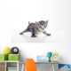 Gatito Con Las Patas Wall Decal