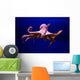 Polpo Comune Octopus Vulgaris Wall Decal