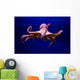 Polpo Comune Octopus Vulgaris Wall Decal