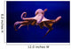 Polpo Comune Octopus Vulgaris Wall Decal